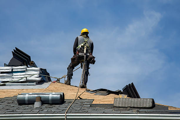 Professional Storm Damage Roof Repair technician working in Lolo, MT